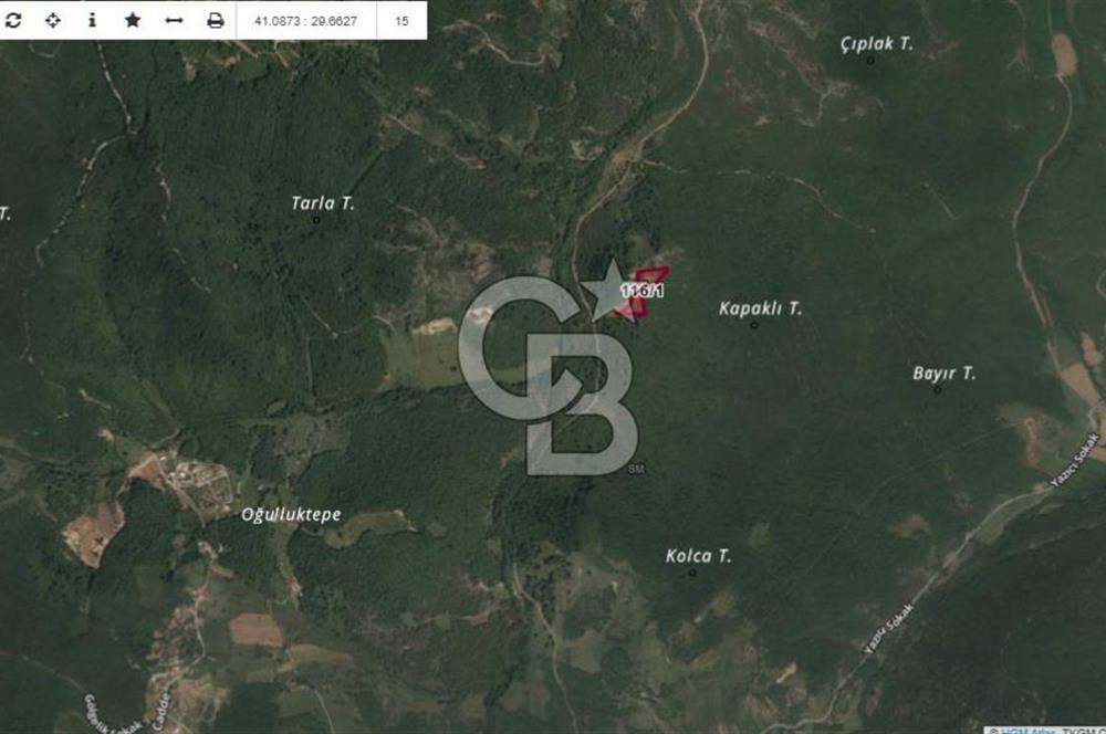 Şile Yaylalı'da Yatırımcıya Uygun Arsa Fırsatı