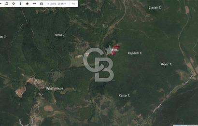 Şile Yaylalı'da Yatırımcıya Uygun Arsa Fırsatı