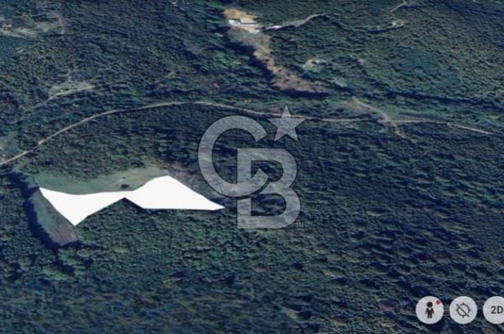 Şile Yaylalı'da Yatırımcıya Uygun Arsa Fırsatı