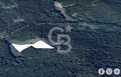 Şile Yaylalı'da Yatırımcıya Uygun Arsa Fırsatı