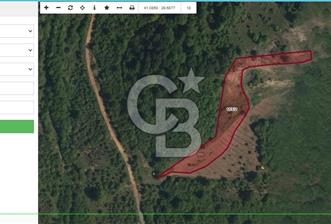 Şile Yaylalı Mevkii'nde Yatırıma Uygun Arsa - 1 - 320865