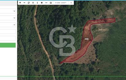 Şile Yaylalı Mevkii'nde Yatırıma Uygun Arsa