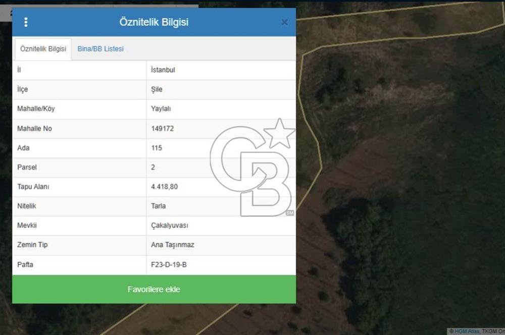 Şile Yaylalı Mevkii'nde Yatırıma Uygun Arsa