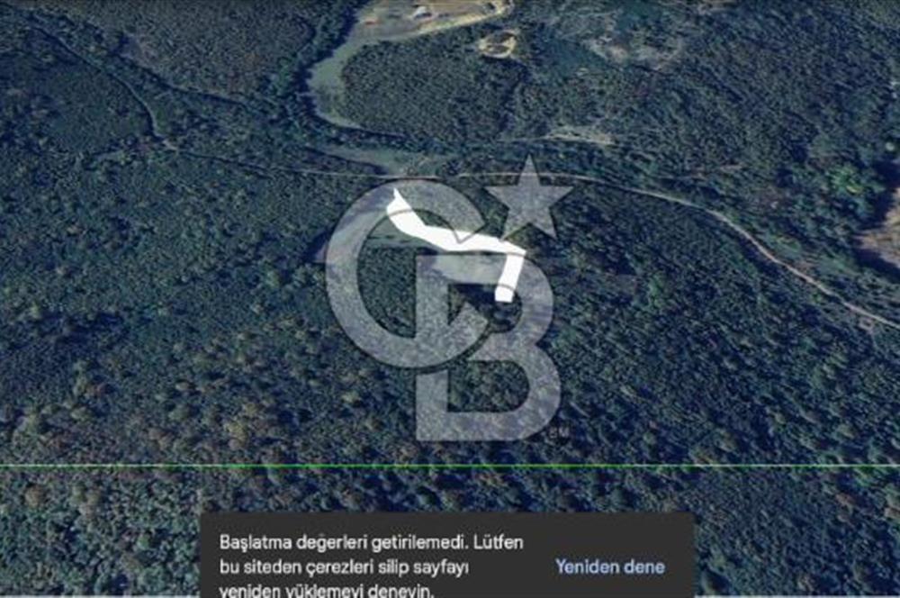 Şile Yaylalı Mevkii'nde Yatırıma Uygun Arsa