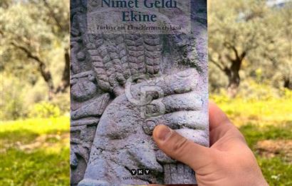 Bayındır Çamlıbel 6367m² Tek Tapu, Yola Cephe Satılık Zeytinlik