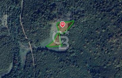 Şile Yaylalı'da Yatırımcıya Uygun Arsa Fırsatı