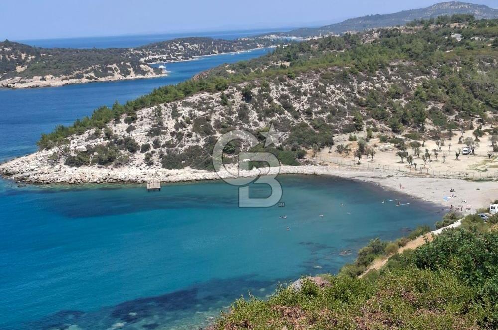 DİKİLİ  BADEMLİ HAYITLI KOYU VE TATİL KÖYÜ DİKİLİ /İZMİR