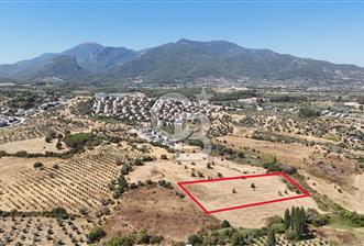 Kemalpaşa Yukarı Kızılca Satılık Villa İmarlı Arsalar - 6 - 320927