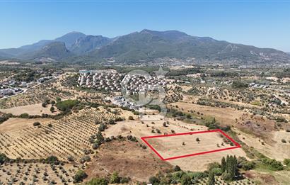 Kemalpaşa Yukarı Kızılca Satılık Villa İmarlı Arsalar