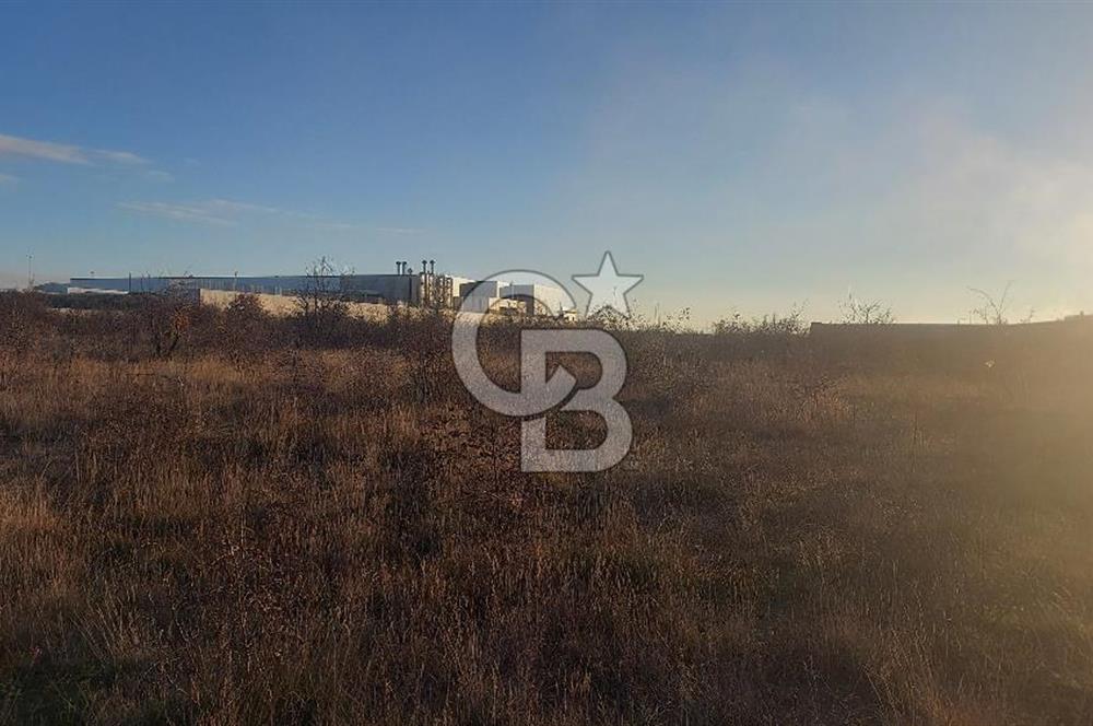 Kırklareli Osb İçinde Satılık 40.000 M2 Arsa