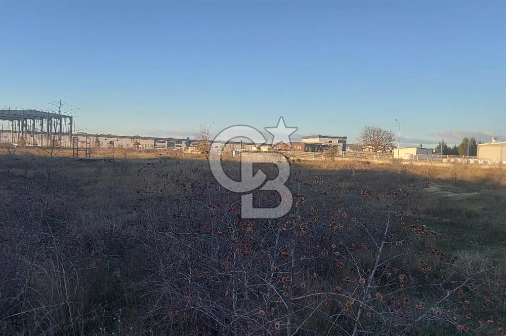 Kırklareli Osb İçinde Satılık 40.000 M2 Arsa