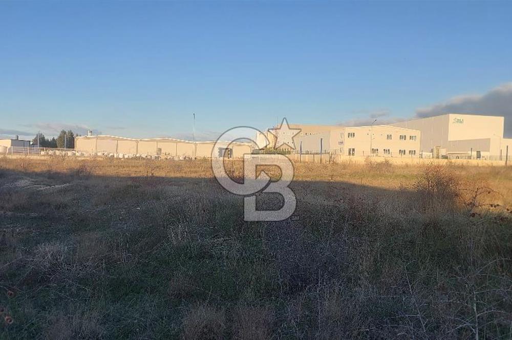 Kırklareli Osb İçinde Satılık 40.000 M2 Arsa