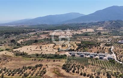 Kemalpaşa Yukarı Kızılca Satılık Villa İmarlı Arsalar