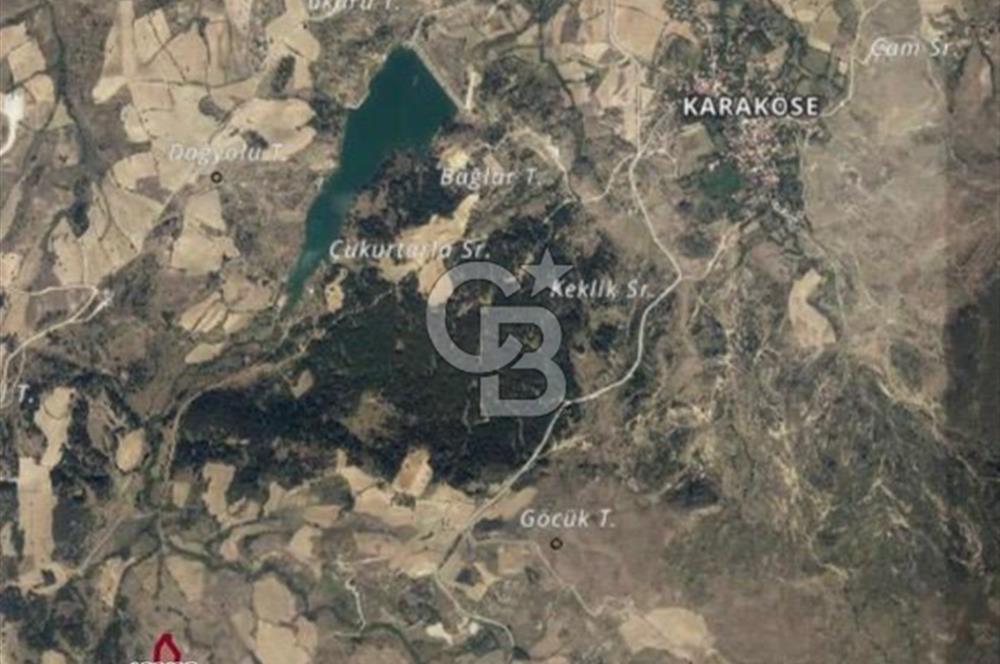 MUSELAND'DAN UŞAK'TA 20 DÖNÜM YATIRIMLIK TARLA