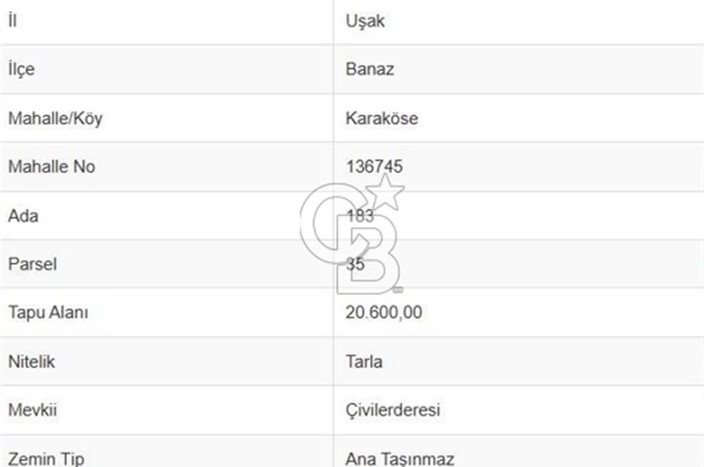 MUSELAND'DAN UŞAK'TA 20 DÖNÜM YATIRIMLIK TARLA