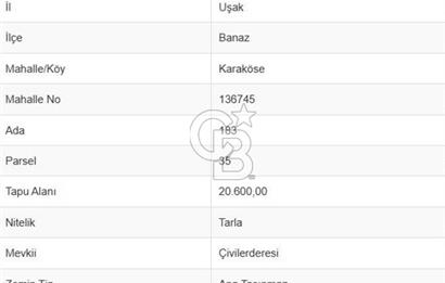 MUSELAND'DAN UŞAK'TA 20 DÖNÜM YATIRIMLIK TARLA