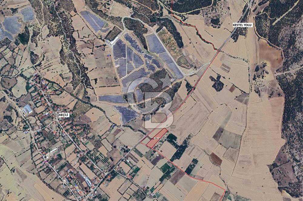 BURDUR KEÇİLİ’YE YAKIN – KESTEL SINIRLARINDA 7 DÖNÜM TARLA