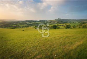 MUSELAND'DAN UŞAK'TA 20 DÖNÜM YATIRIMLIK TARLA - 10 - 320918