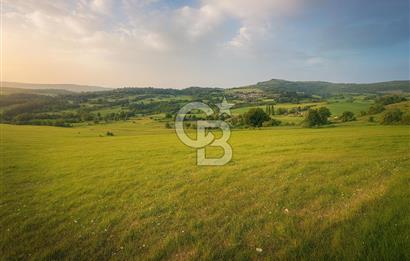 MUSELAND'DAN UŞAK'TA 20 DÖNÜM YATIRIMLIK TARLA