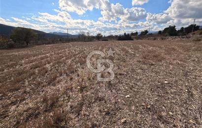 BURDUR KEÇİLİ’YE YAKIN – KESTEL SINIRLARINDA 7 DÖNÜM TARLA