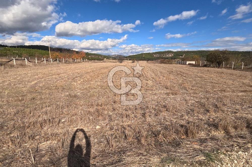 BURDUR KEÇİLİ’YE YAKIN – KESTEL SINIRLARINDA 7 DÖNÜM TARLA