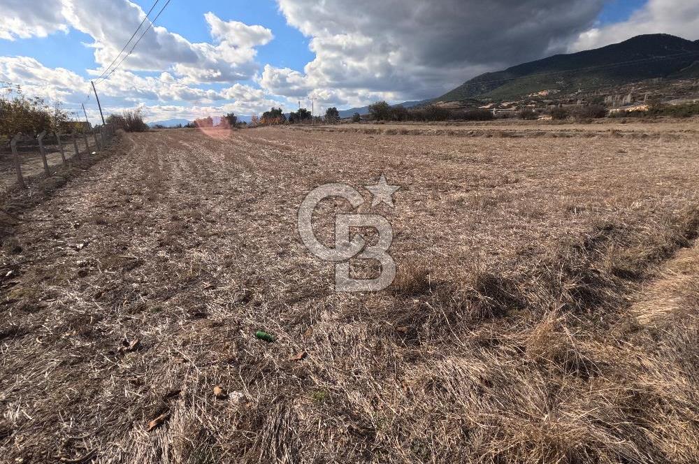 BURDUR KEÇİLİ’YE YAKIN – KESTEL SINIRLARINDA 7 DÖNÜM TARLA
