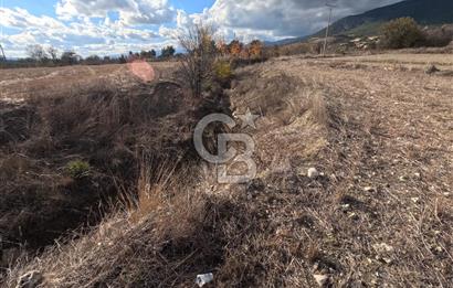 BURDUR KEÇİLİ’YE YAKIN – KESTEL SINIRLARINDA 7 DÖNÜM TARLA