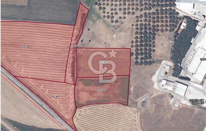 Bandırma D200’e Yakın | Sanayi Bölgesi İçinde | 48.700 m² Yatırımlık Tarla