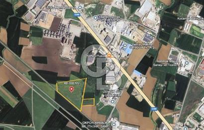 Bandırma D200’e Yakın | Sanayi Bölgesi İçinde | 48.700 m² Yatırımlık Tarla