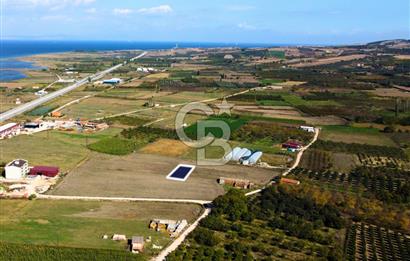 Çanakkale Lapseki Çardak 249m² Boğaz Manzaralı Villa İmarlı Arsa