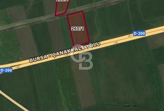 Biga Güvemalan Anayol Cepheli Tarla - 10 - 320934