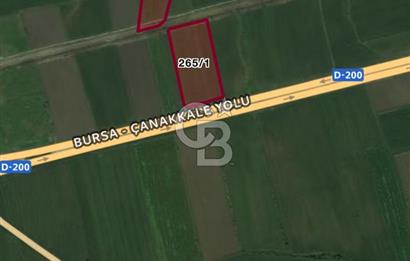 Biga Güvemalan Anayol Cepheli Tarla