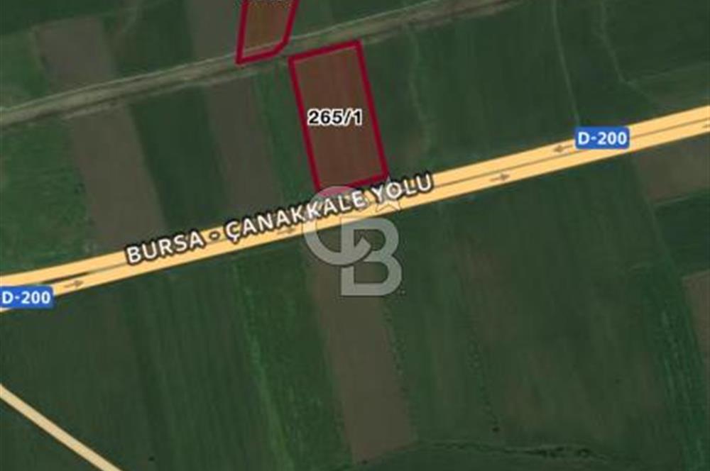 Biga Güvemalan Anayol Cepheli Tarla