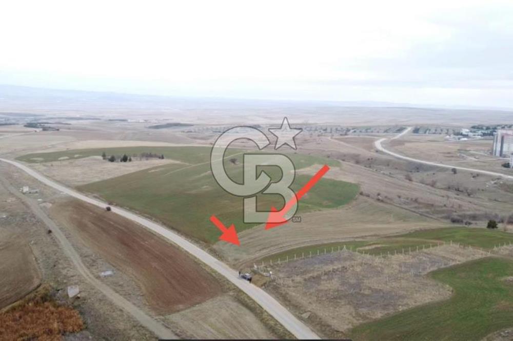 TULUMTAŞ - 0,30 EMSAL - ASFALT YOLA CEPHE - 697 M2 KÖŞE PARSEL