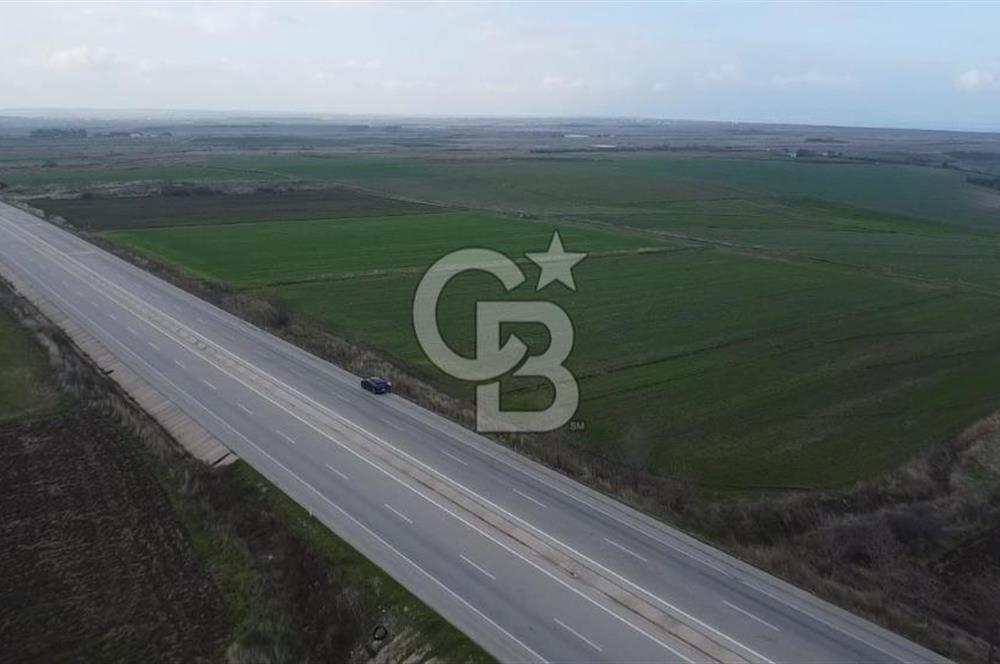Biga Güvemalan Anayol Cepheli Tarla