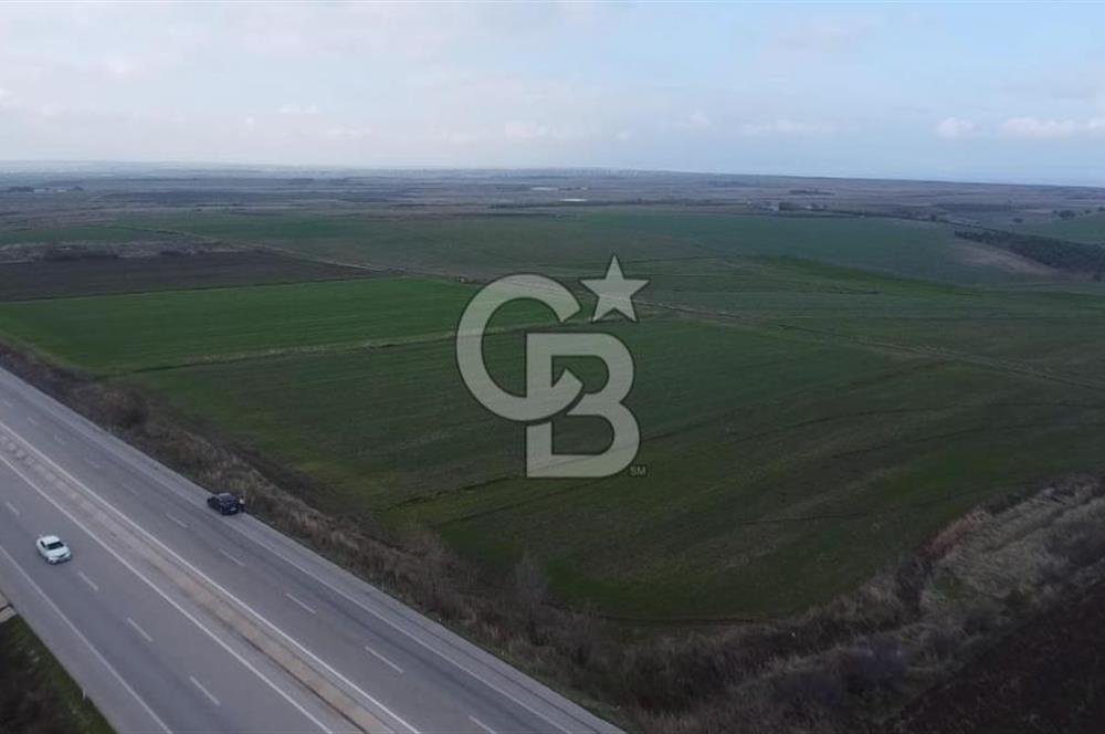 Biga Güvemalan Anayol Cepheli Tarla