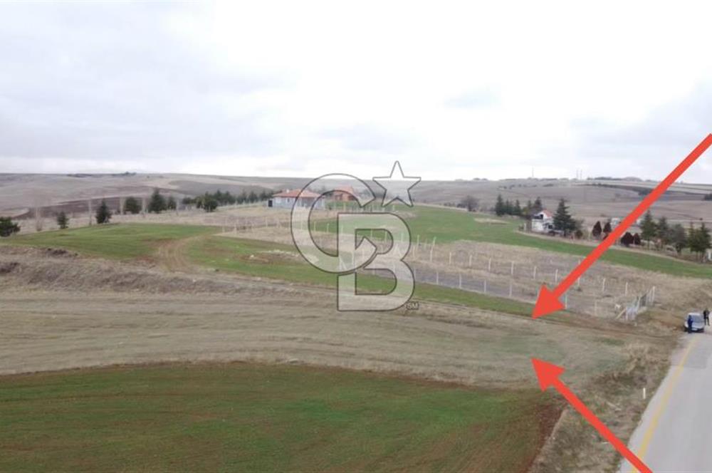 TULUMTAŞ - 0,30 EMSAL - ASFALT YOLA CEPHE - 697 M2 KÖŞE PARSEL