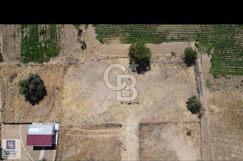 Torbalı dirmilde satılık bahçe