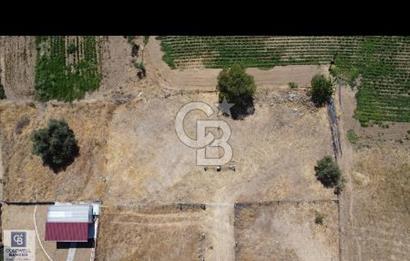 Torbalı dirmilde satılık bahçe