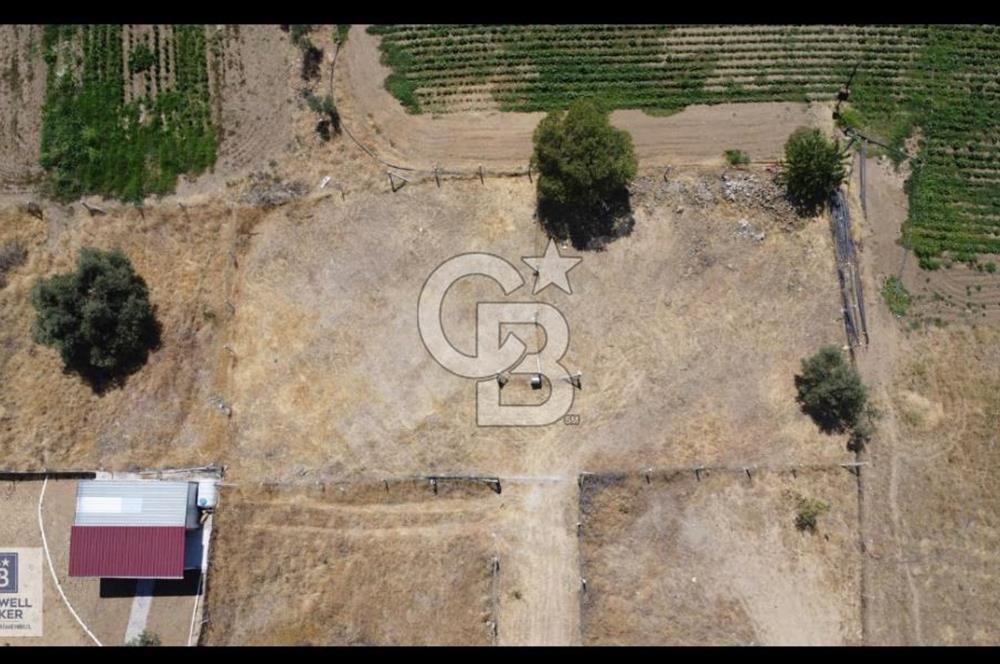 Torbalı dirmilde satılık bahçe