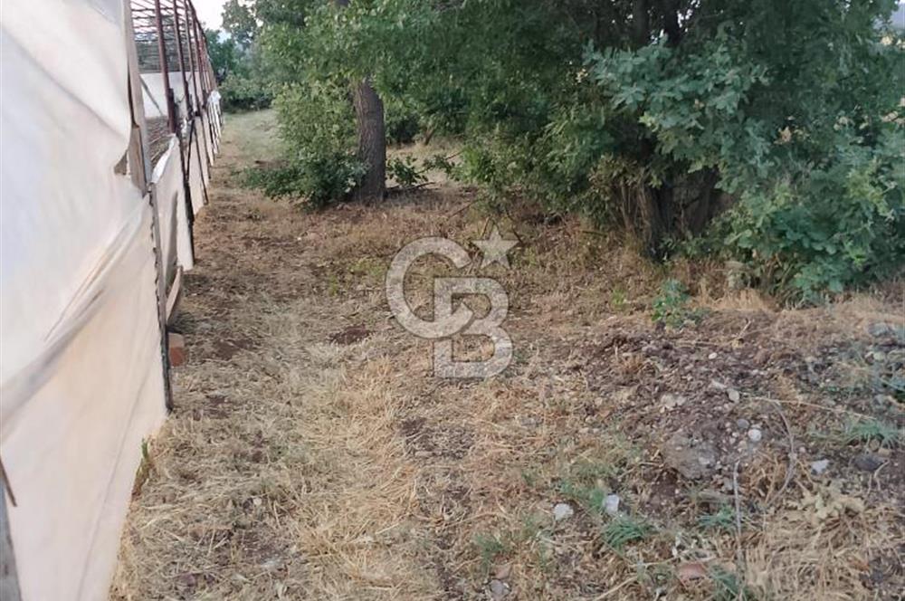 Torbalı dirmilde satılık bahçe