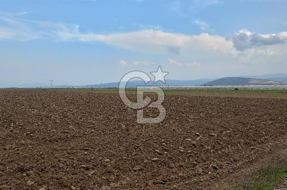 Çileme de satılık tarla