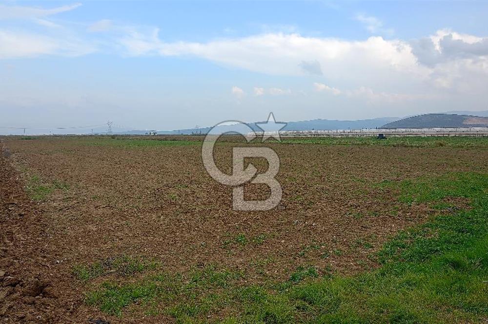 Çileme de satılık tarla