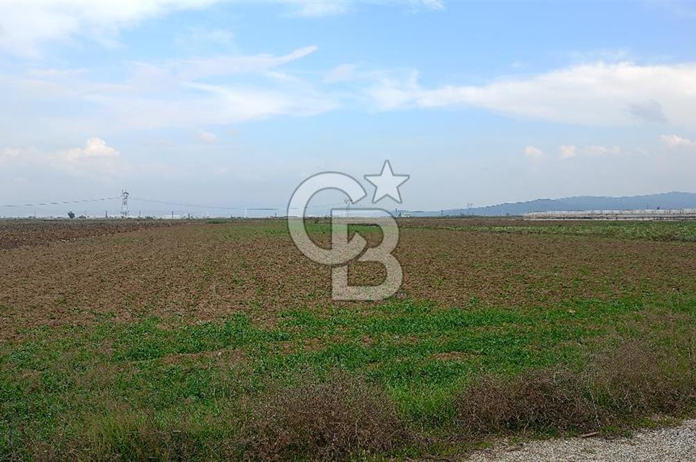 Çileme de satılık tarla