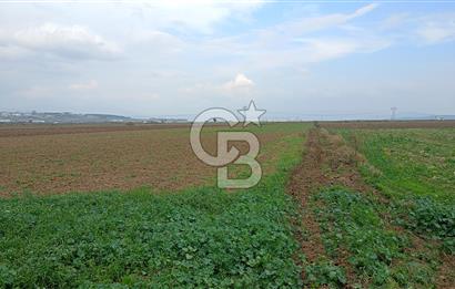 Çileme de satılık tarla