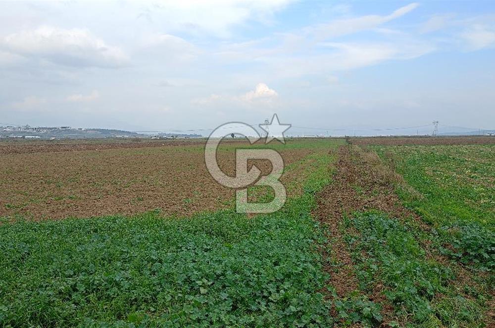 Çileme de satılık tarla