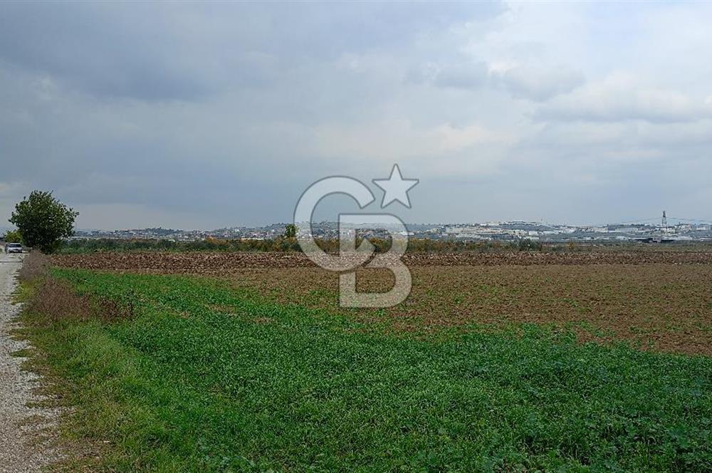 Çileme de satılık tarla