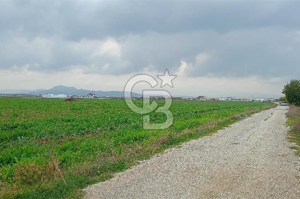 Çileme de satılık tarla