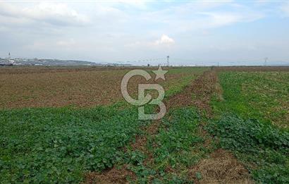 Çileme de satılık tarla