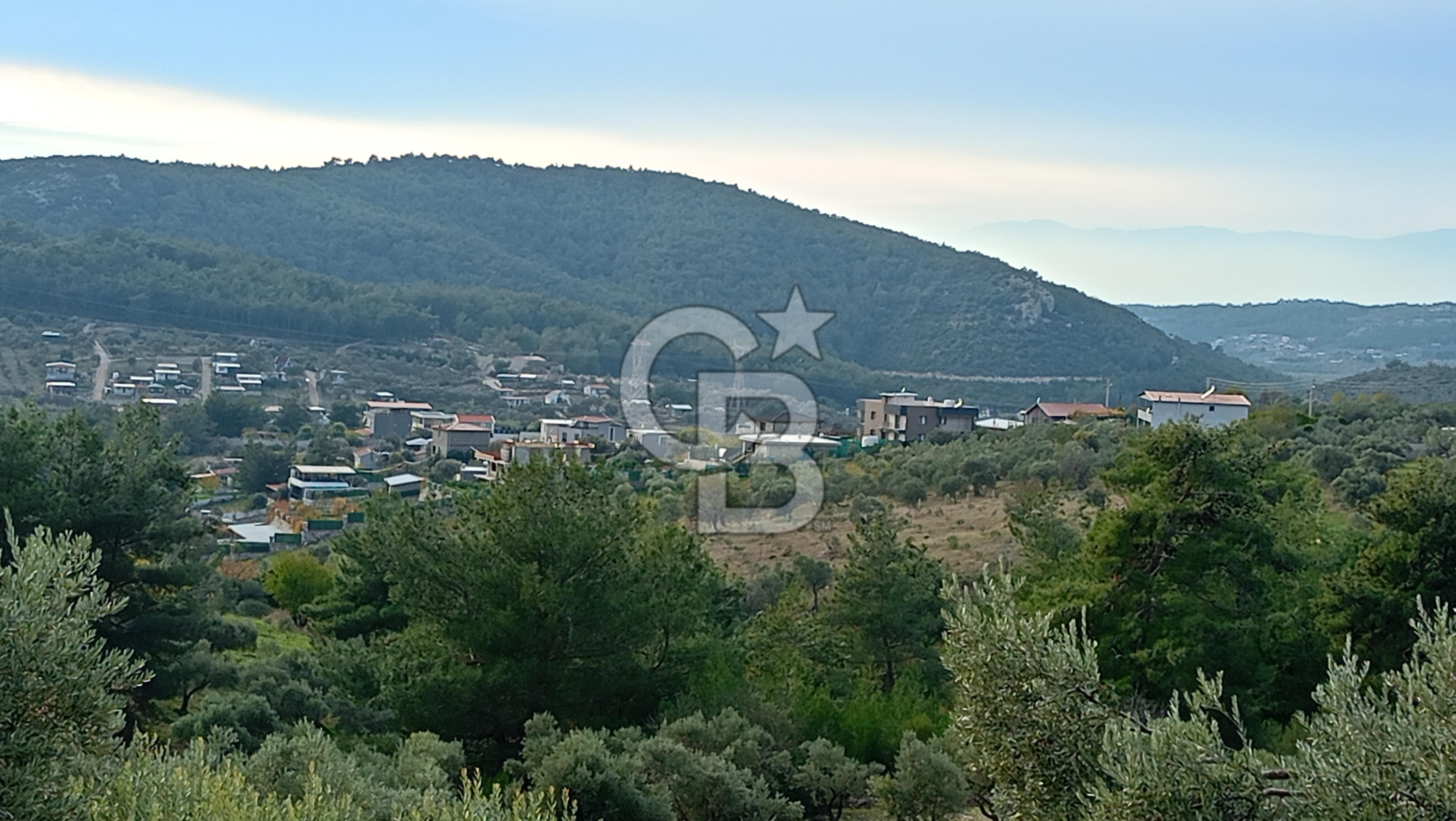 Doğancılar satılık tarla